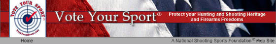 VoteYourSport.jpg